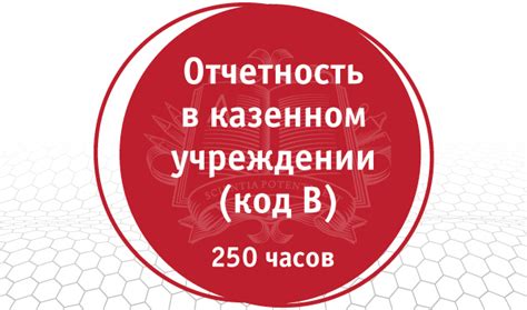 Проверка и представление финансовой отчетности в налоговые учреждения
