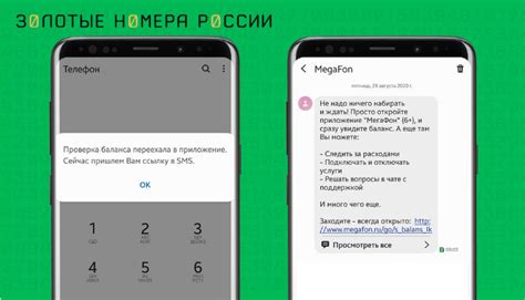 Проверка наличия услуги "МегаФон PRO" на вашем iPhone