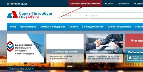 Проверка текущего статуса поданной заявки на официальном сайте