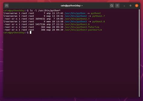 Проверка успешной установки pip для последней версии Python на операционной системе Ubuntu