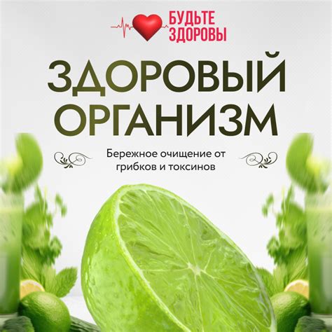 Продукты, помогающие очистить организм от токсинов