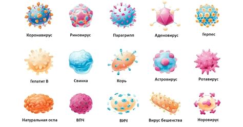 Профилактика вирусных инфекций: основные меры предупреждения