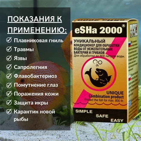 Профилактика патогенных грибков: простые рекомендации для долгосрочной гигиены