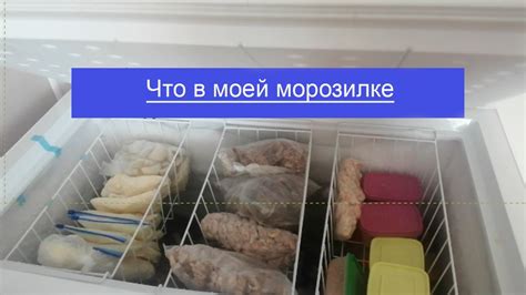 Процесс замораживания продуктов в морозильной камере: основные этапы