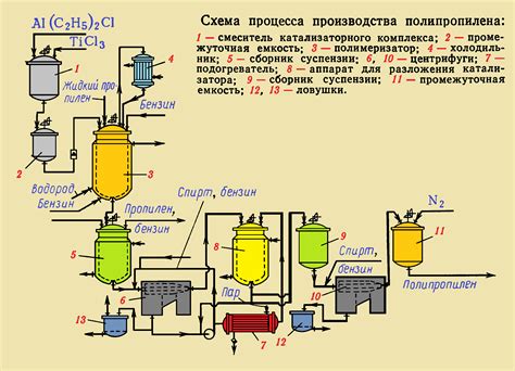 Процесс получения пасты из полезного растения