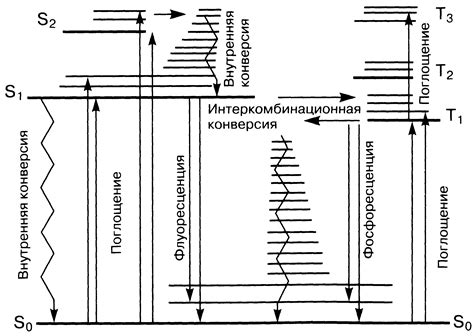 Процесс фотолюминесценции: от поглощения света до излучения