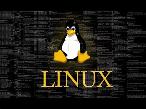 Работа с фалами и директориями в командной строке Linux