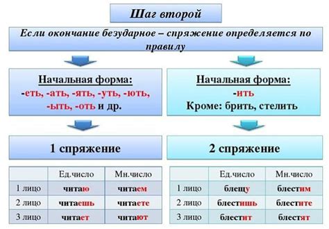 Различия между глаголами 1-ого и 2-ого спряжения