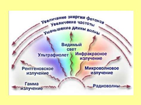 Разнообразие коллизий и их воздействие на движение тел