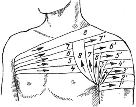 Разнообразие материалов и характеристик бинтов для плеча