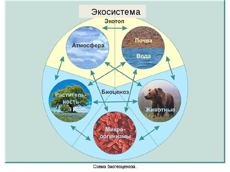 Разнообразие составляющих вечного пламени в рукоделии