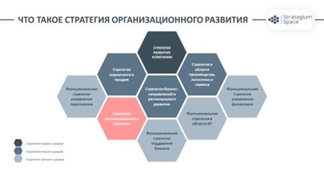 Разработка стратегии развития бизнеса: основные шаги и сферы внимания