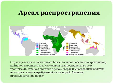 Распространение и место обитания