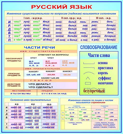 Расширение лексического запаса для новичков в освоении русского языка на основе турецкого