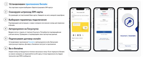 Регистрация и привязка карты на PayPal: пошаговая инструкция