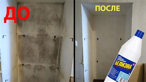 Регулярное устранение грибка с помощью очистки уплотнительной резинки