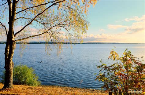 Режим полива в суровые дни лета