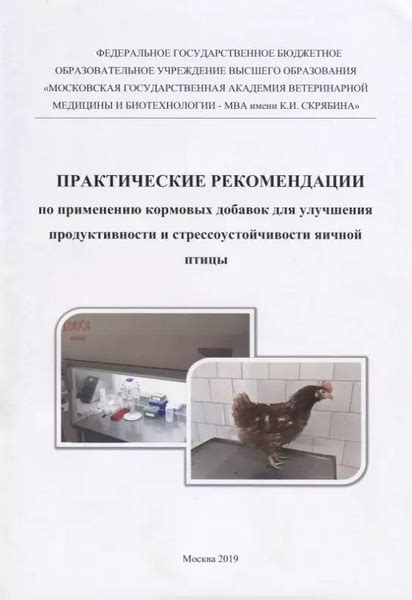 Рекомендации по применению добавок для достижения высокого качества смеси штукатурки