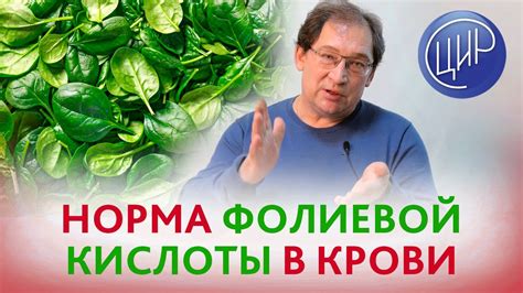 Роли фолиевой кислоты в организме