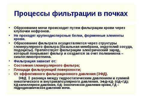 Роль блэклистов и списков авторизованных отправителей в фильтрации