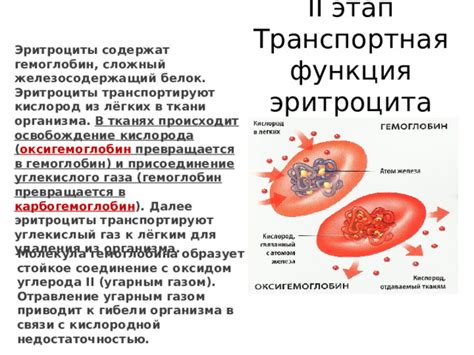 Роль гемоглобина в организме: функция переноса кислорода и удаления углекислого газа