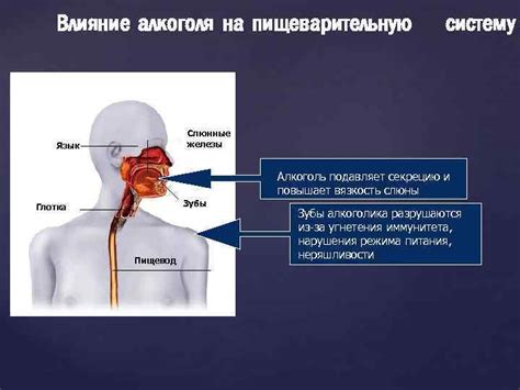 Роль дыхания и влияние на пищеварительную систему при интенсивном беге