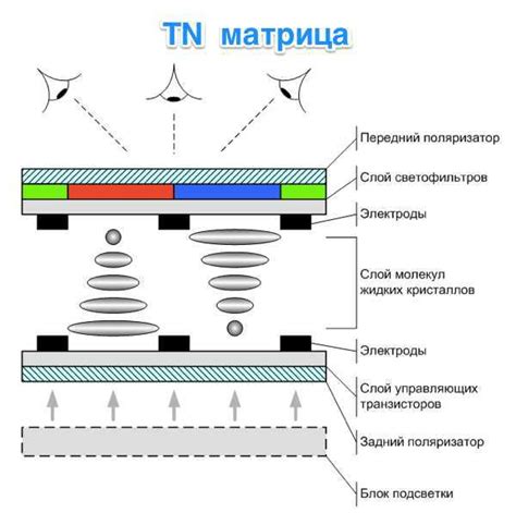 Роль жидкокристаллической матрицы в работе современных ЖК-мониторов