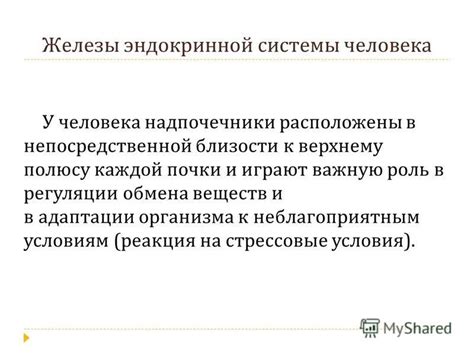 Роль законодательства в противодействии неблагоприятным условиям официальной занятости