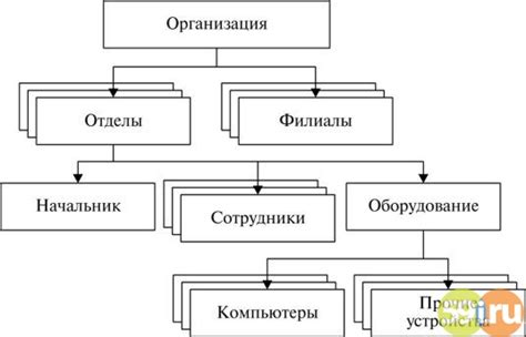 Роль и важность счета 20521 в системе бюджетного учета