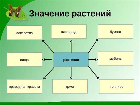 Роль и значения существительных в формировании сложной сети значений