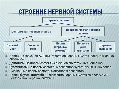 Роль и строение "швеллера": основные принципы