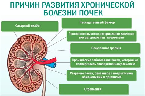 Роль наличия крови в моче как показателя прогрессирования заболевания