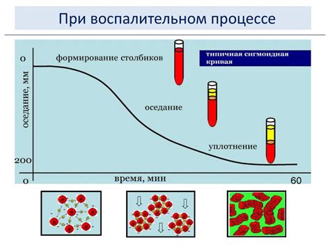 Роль образа жизни в развитии высоких показателей Скорости оседания эритроцитов у мужчин