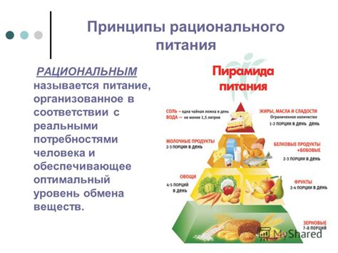 Роль правильного питания в формировании общей композиции тела