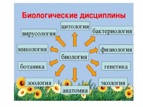 Роль семейства в науке о живой природе: основные понятия и значимость