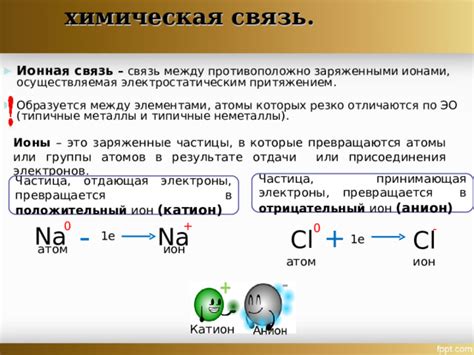 Роль эволюции в сексуальном отборе: связь между притяжением и запахами