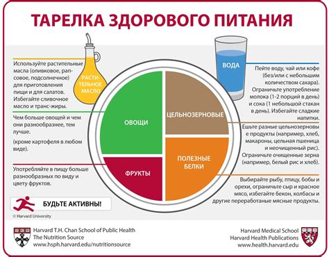 Сбалансированное питание: возвращение к здоровой диете после кето режима