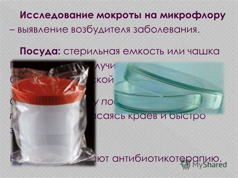 Сбор и анализ мокроты: методы и значение