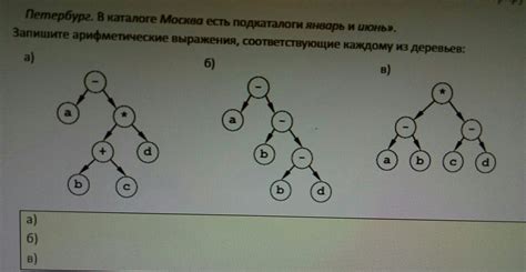 Свойства деревьев, соответствующие каждому астрологическому знаку