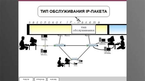 Сигнализация в качестве системы безопасности: принципы функционирования и основные элементы