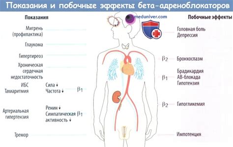 Симптомы и побочные эффекты, о которых надо знать