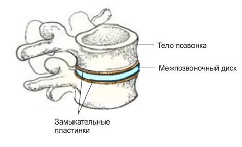 Симптомы и проявления хрящевых узлов шморля