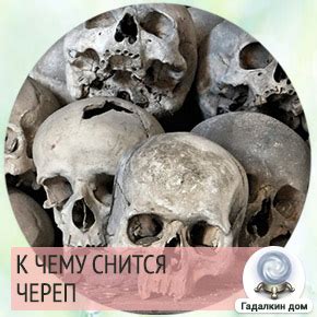 Смысл черепа во сне: скрытые послания и символика