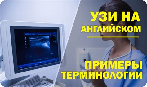 Советы по использованию Зодака для детей и беременных