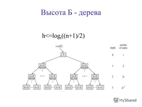 Создание базовой структуры дерева