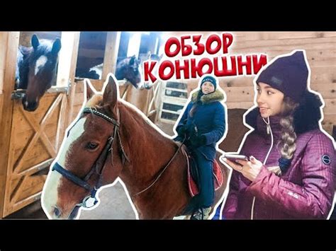 Создание уютной обстановки для верных спутников - лошадей