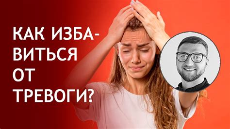 Сон о бегстве от медведя как проявление страха и тревоги