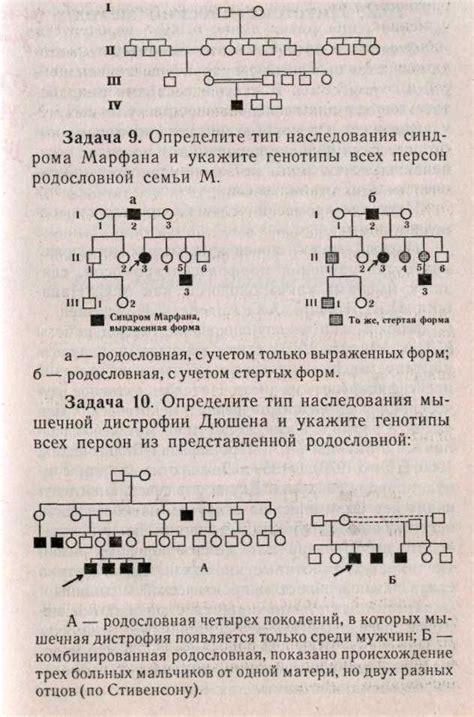 Сопоставление информации о предках и потомках с учетом родословной
