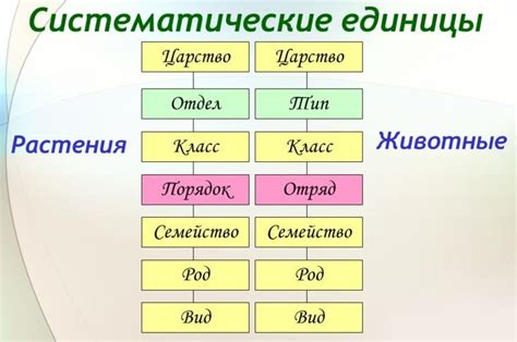 Соторные классы: подклассы в рамках каждого разряда на фоне яркости