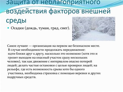 Сохранение качества изюма: защита от неблагоприятного воздействия света и воздуха